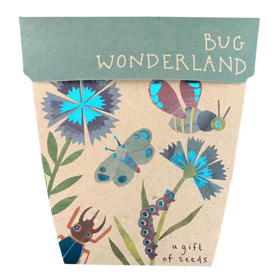 Bug Wonderland Seed Card