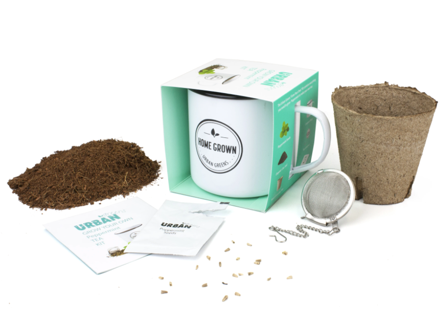 Grow Your Own Tea Kit